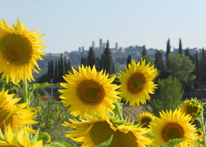 Agriturismo Montegonfoli San Gimignano