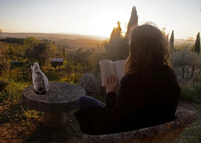 Agriturismo Il Castagnolino San Gimignano
